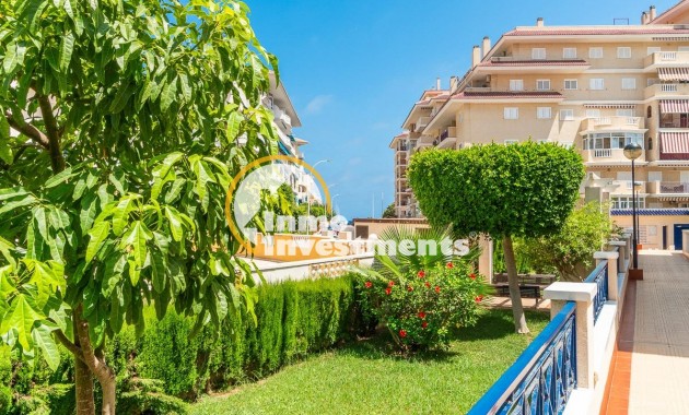 Long term rental - Apartment - Torrevieja - La Mata