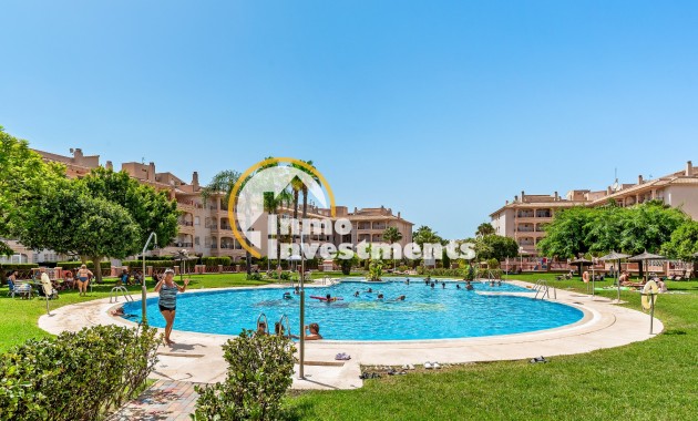 Gebrauchtimmobilien - Apartment - Orihuela Costa - Playa Flamenca