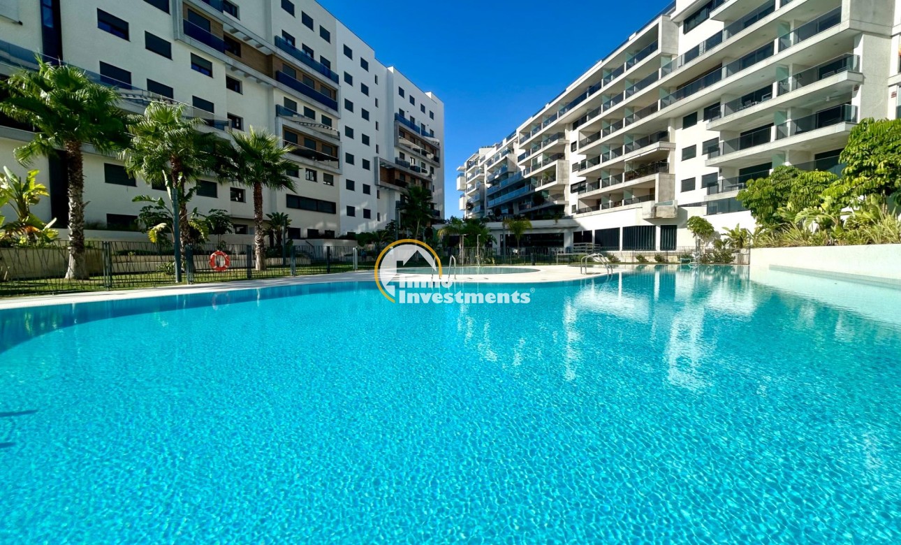 Reventa - Apartamento - Campoamor