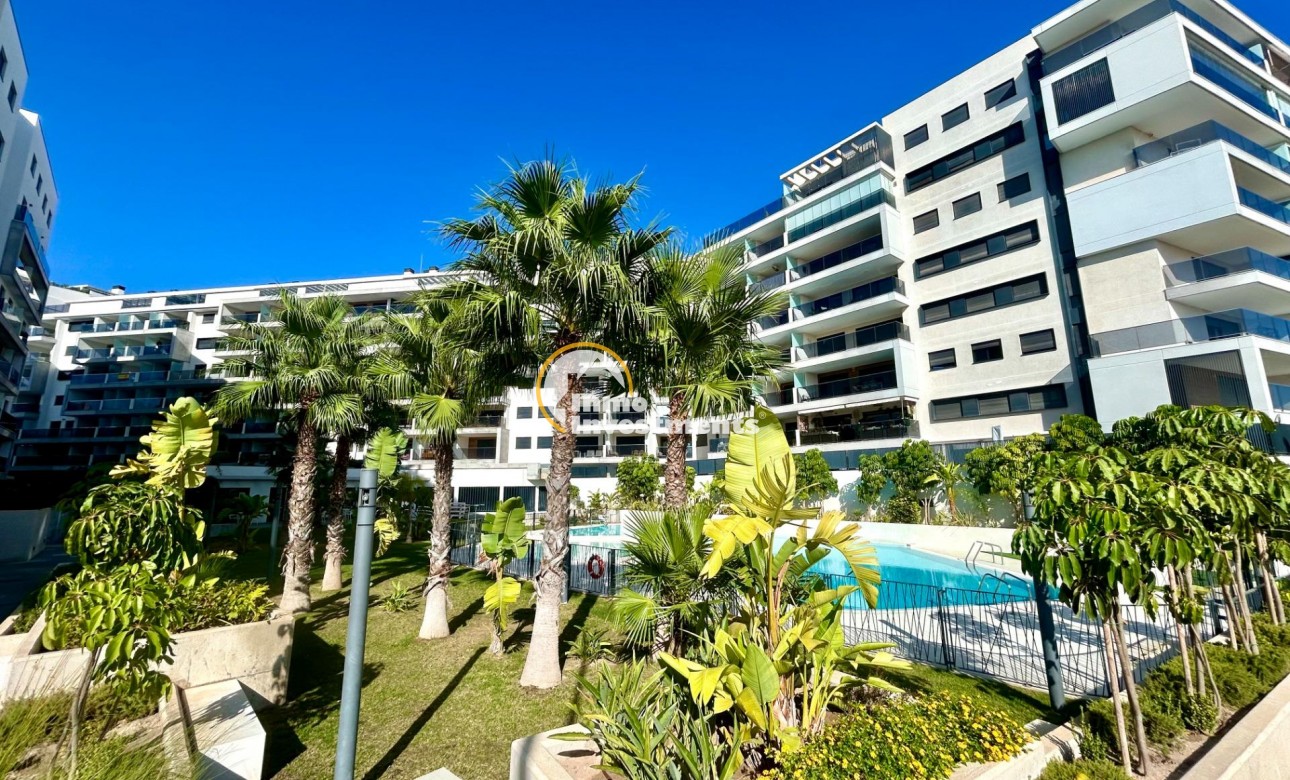 Reventa - Apartamento - Campoamor