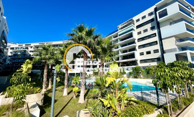 Reventa - Apartamento - Campoamor