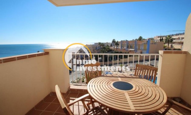 Gebrauchtimmobilien - Penthouse - Campoamor