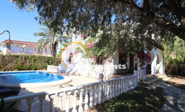 Gebrauchtimmobilien - Villa - Cabo Roig