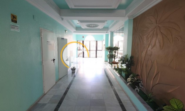 Resale - Penthouse - Torrevieja - Torrevieja Centre