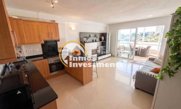 Gebrauchtimmobilien - Studio - Guardamar del Segura - Lomas de Polo-Pinomar