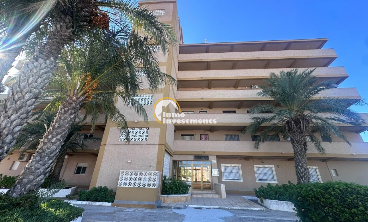 Gebrauchtimmobilien - Studio - Guardamar del Segura - Lomas de Polo-Pinomar