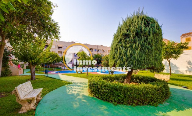 Gebrauchtimmobilien - Penthouse - Torrevieja - Playa del Acequion