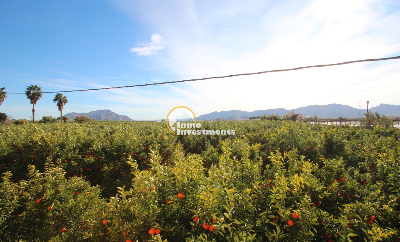 Resale - Finca / Country House - Murcia - Costa Blanca Sur