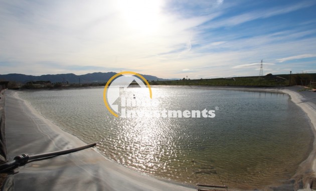 Resale - Finca / Country House - Murcia - Costa Blanca Sur