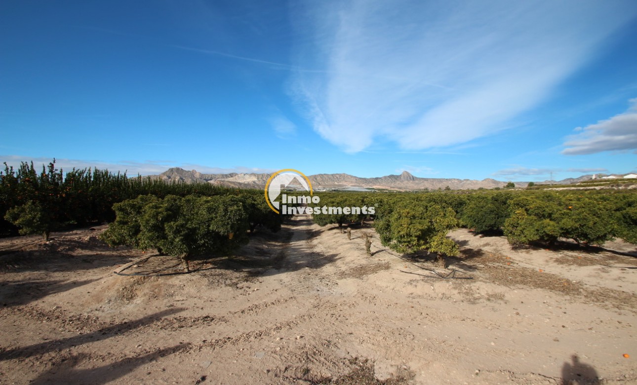 Resale - Finca / Country House - Murcia - Costa Blanca Sur