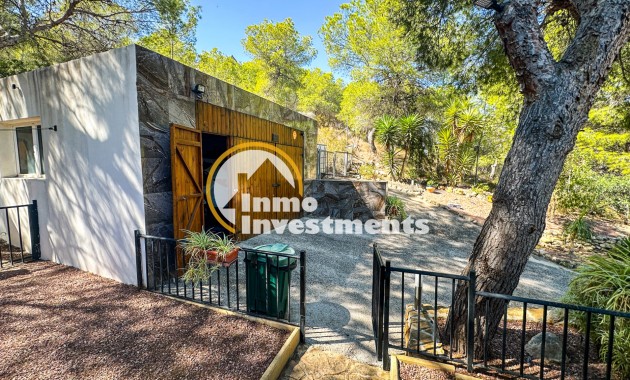 Resale - Finca / Country House - San Miguel de Salinas - Costa Blanca Sur