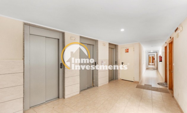 Gebrauchtimmobilien - Apartment - Torrevieja - El molino