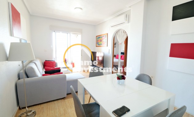 Bestaande bouw - Apartment Penthouse - Formentera del Segura