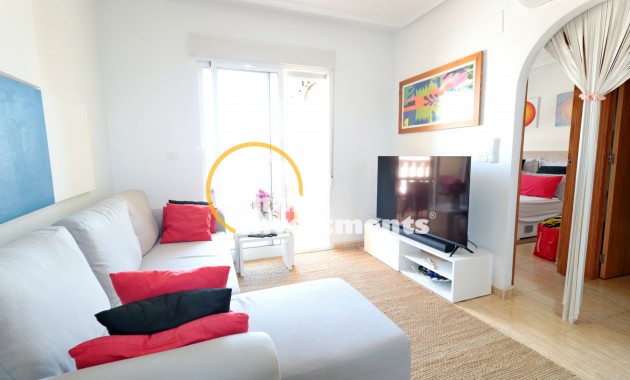 Bestaande bouw - Apartment Penthouse - Formentera del Segura