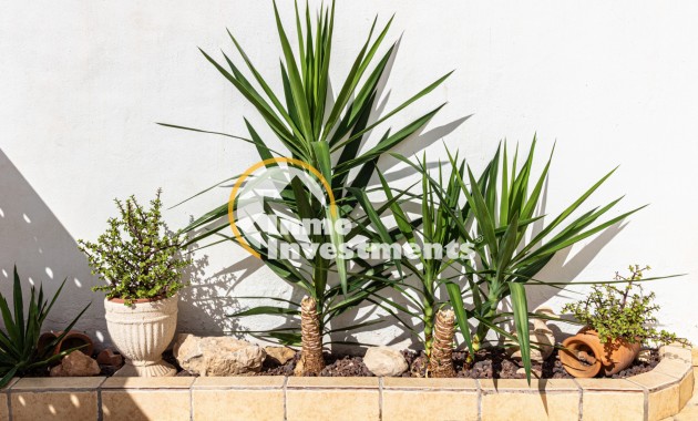 Gebrauchtimmobilien - Doppelhaushälfte - Torrevieja