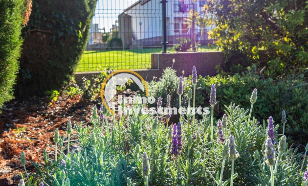 Till salu - Apartament - Punta Prima - La Ciñuelica