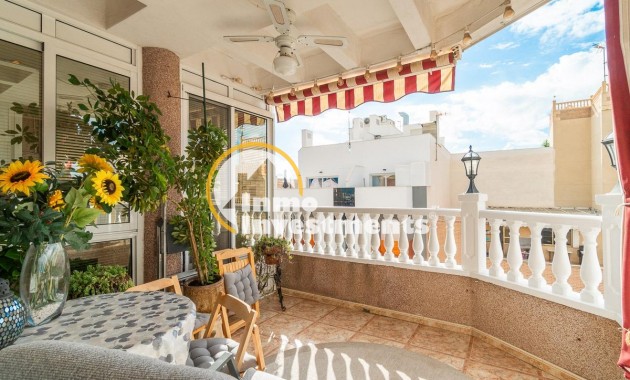 Gebrauchtimmobilien - Penthouse - Torrevieja - Torrevieja Zentrum