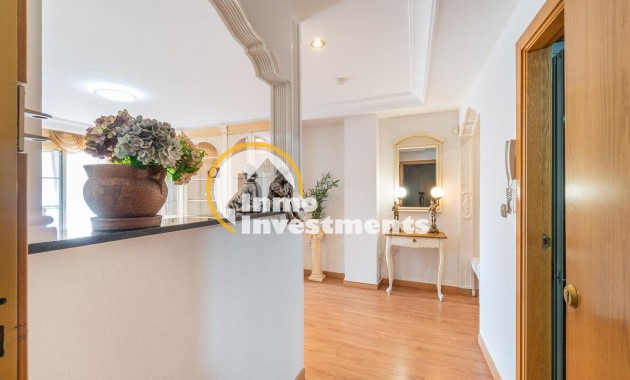 Gebrauchtimmobilien - Penthouse - Torrevieja - Torrevieja Zentrum