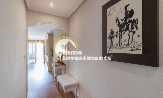 Gebrauchtimmobilien - Penthouse - Torrevieja - Torrevieja Zentrum
