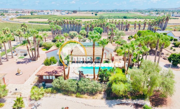 Revente privée - Villa - Daya Vieja