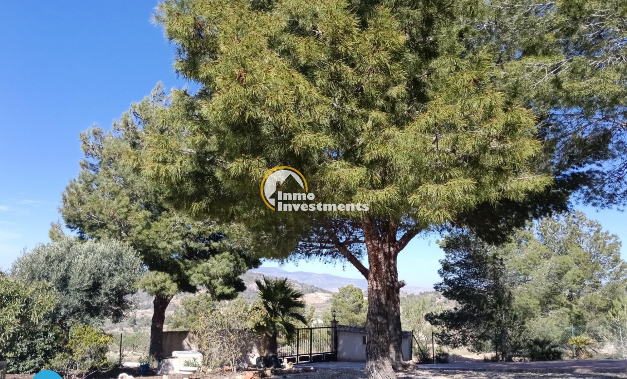 Gebrauchtimmobilien - Villa - Abanilla