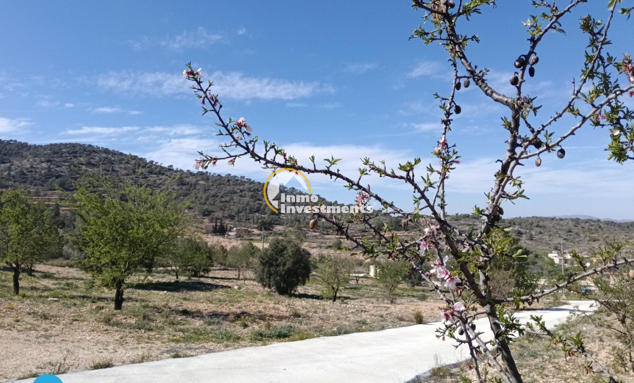 Gebrauchtimmobilien - Villa - Abanilla