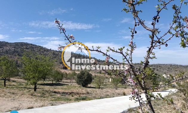 Gebrauchtimmobilien - Villa - Abanilla