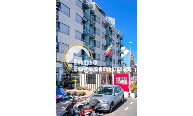 Gebrauchtimmobilien - Apartment - Torrevieja - Playa de Los Locos