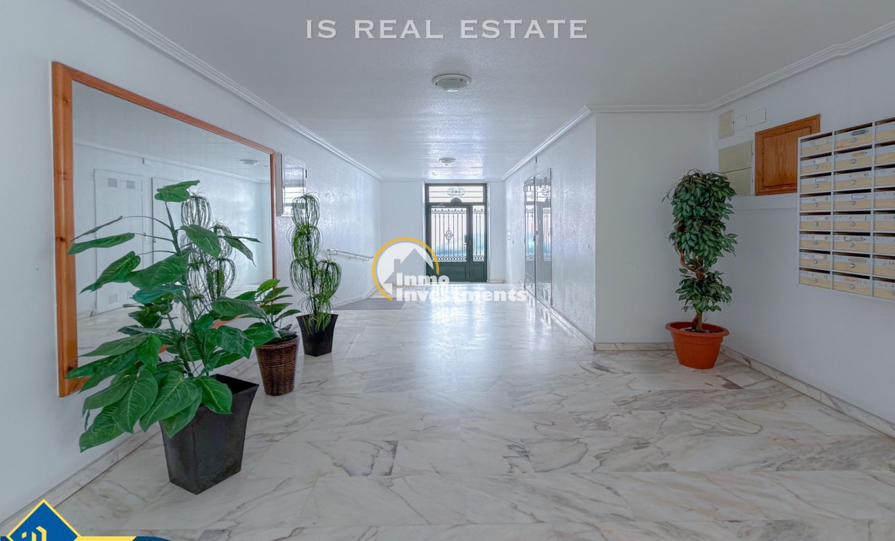 Gebrauchtimmobilien - Apartment - Torrevieja - Playa de Los Locos