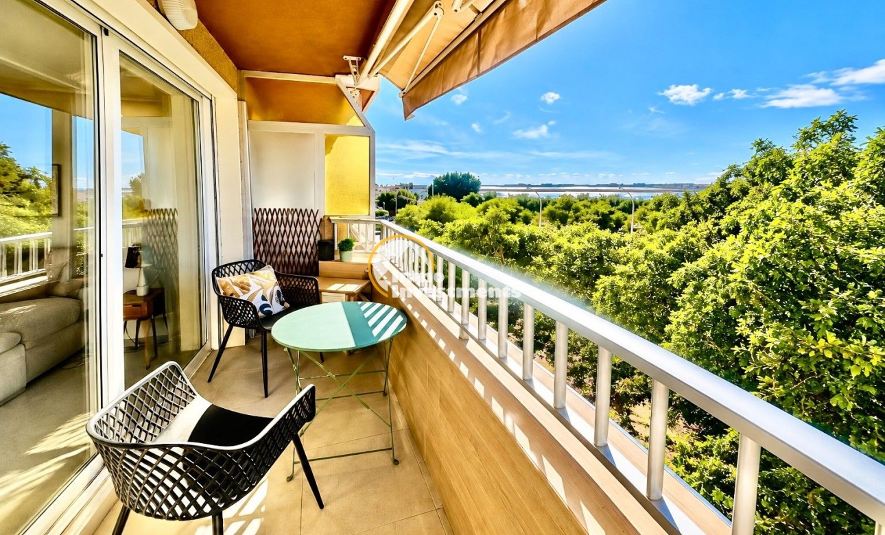 Gebrauchtimmobilien - Apartment - Torrevieja