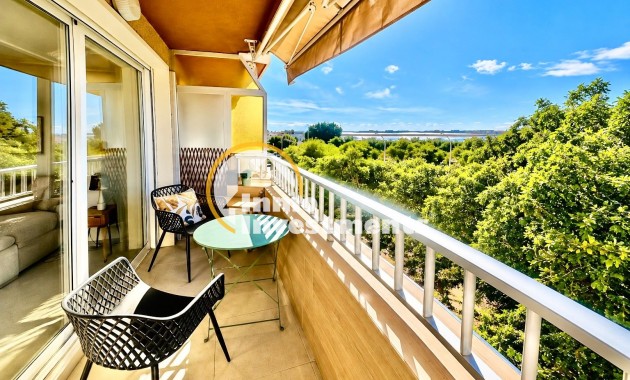 Gebrauchtimmobilien - Apartment - Torrevieja