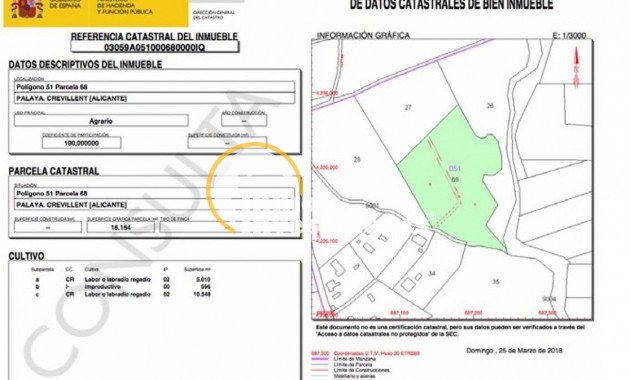 Reventa - Parcela - Crevillent - Comunidad valenciana