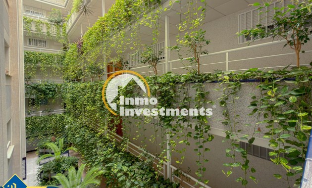 Bestaande bouw - Appartement - Torrevieja - Playa del Cura