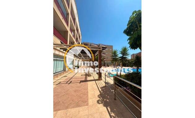 Bestaande bouw - Appartement - Orihuela Costa - Campoamor