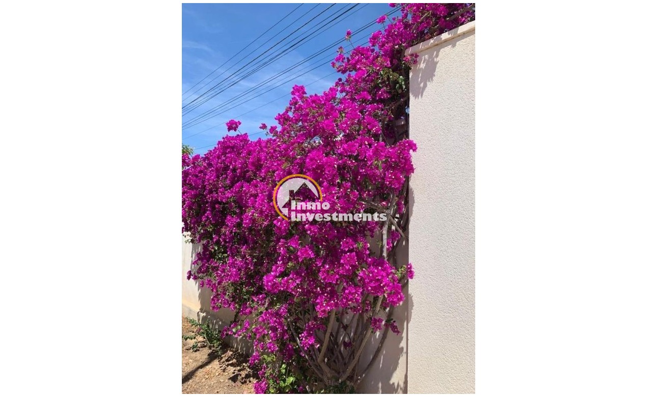 Gebrauchtimmobilien - Villa - Rojales - Centro de la Ciudad Quesada