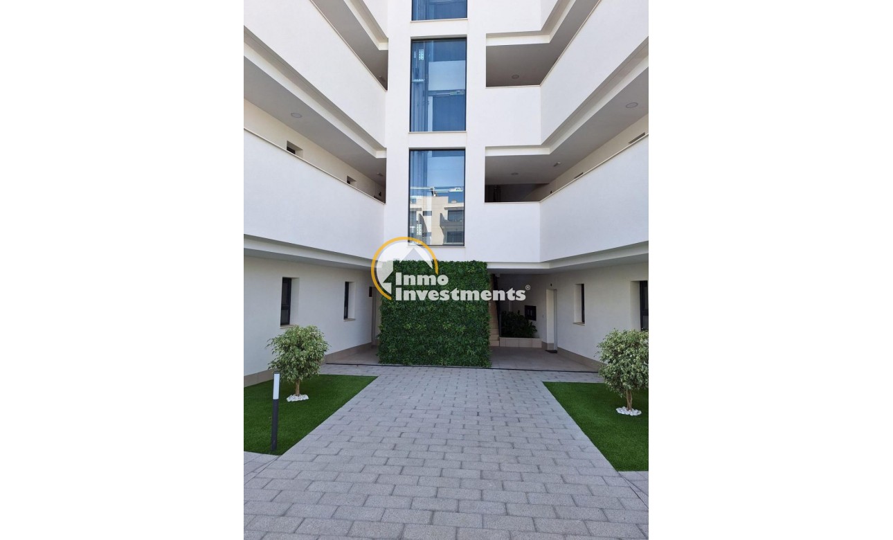 New build - Apartment - San Miguel de Salinas - CENTRO