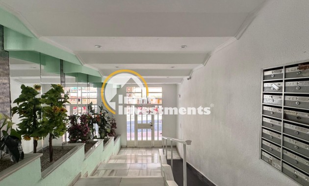 Bestaande bouw - Appartement - Torrevieja - Estacion de autobuses