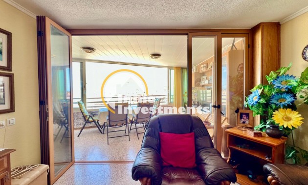 Gebrauchtimmobilien - Apartment - Torrevieja - La Mata pueblo