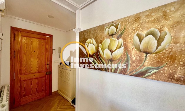Gebrauchtimmobilien - Penthouse - Torrevieja - La Mata pueblo