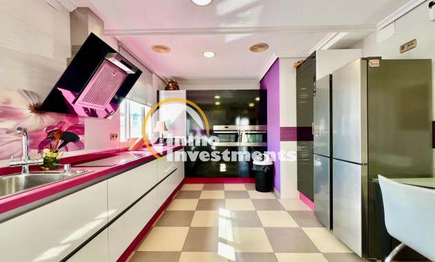 Gebrauchtimmobilien - Penthouse - Torrevieja - La Mata pueblo