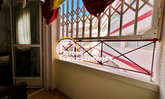 Gebrauchtimmobilien - Apartment - Torrevieja - Centro