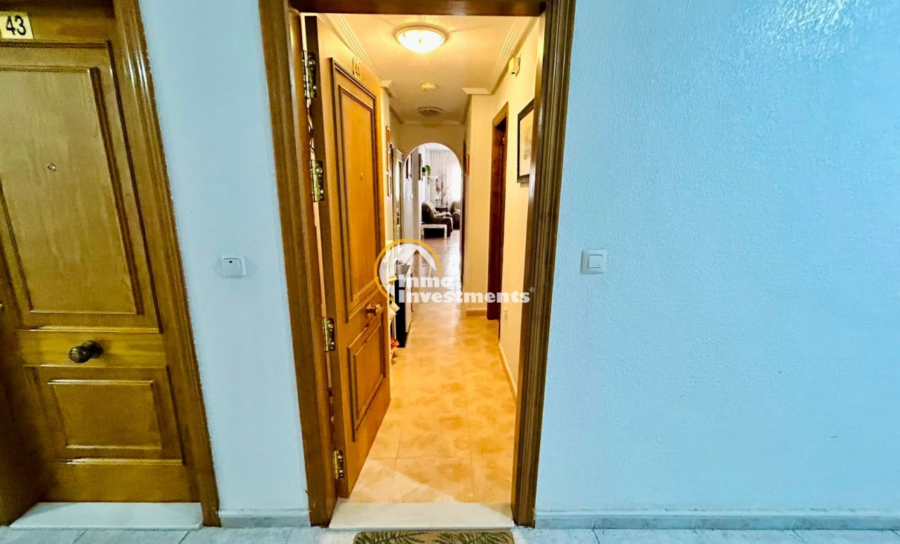 Gebrauchtimmobilien - Apartment - Torrevieja - Centro
