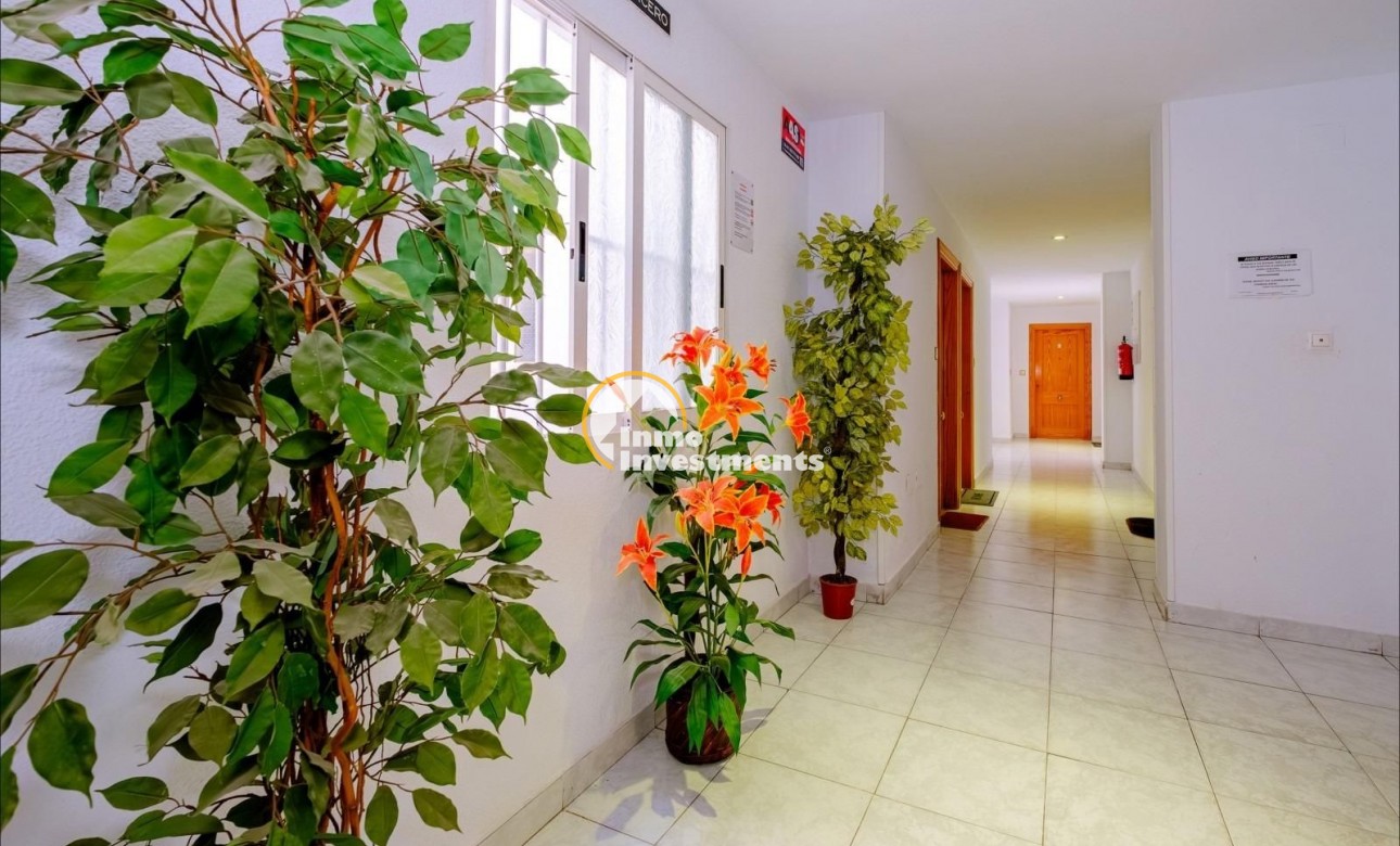 Bestaande bouw - Appartement - Torrevieja - Estacion de autobuses