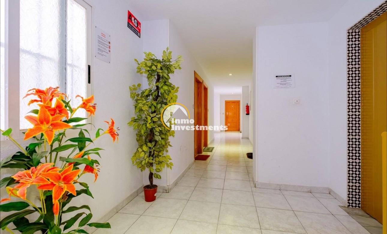 Bestaande bouw - Appartement - Torrevieja - Estacion de autobuses