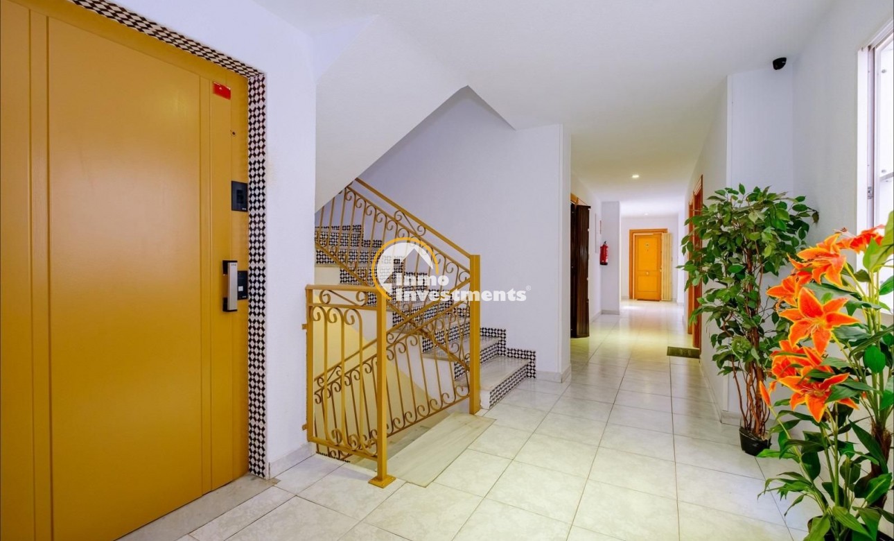 Bestaande bouw - Appartement - Torrevieja - Estacion de autobuses