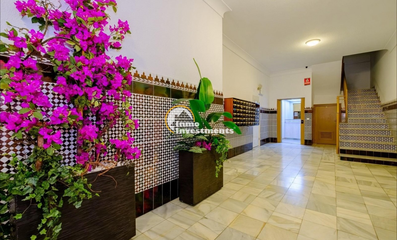 Bestaande bouw - Appartement - Torrevieja - Estacion de autobuses