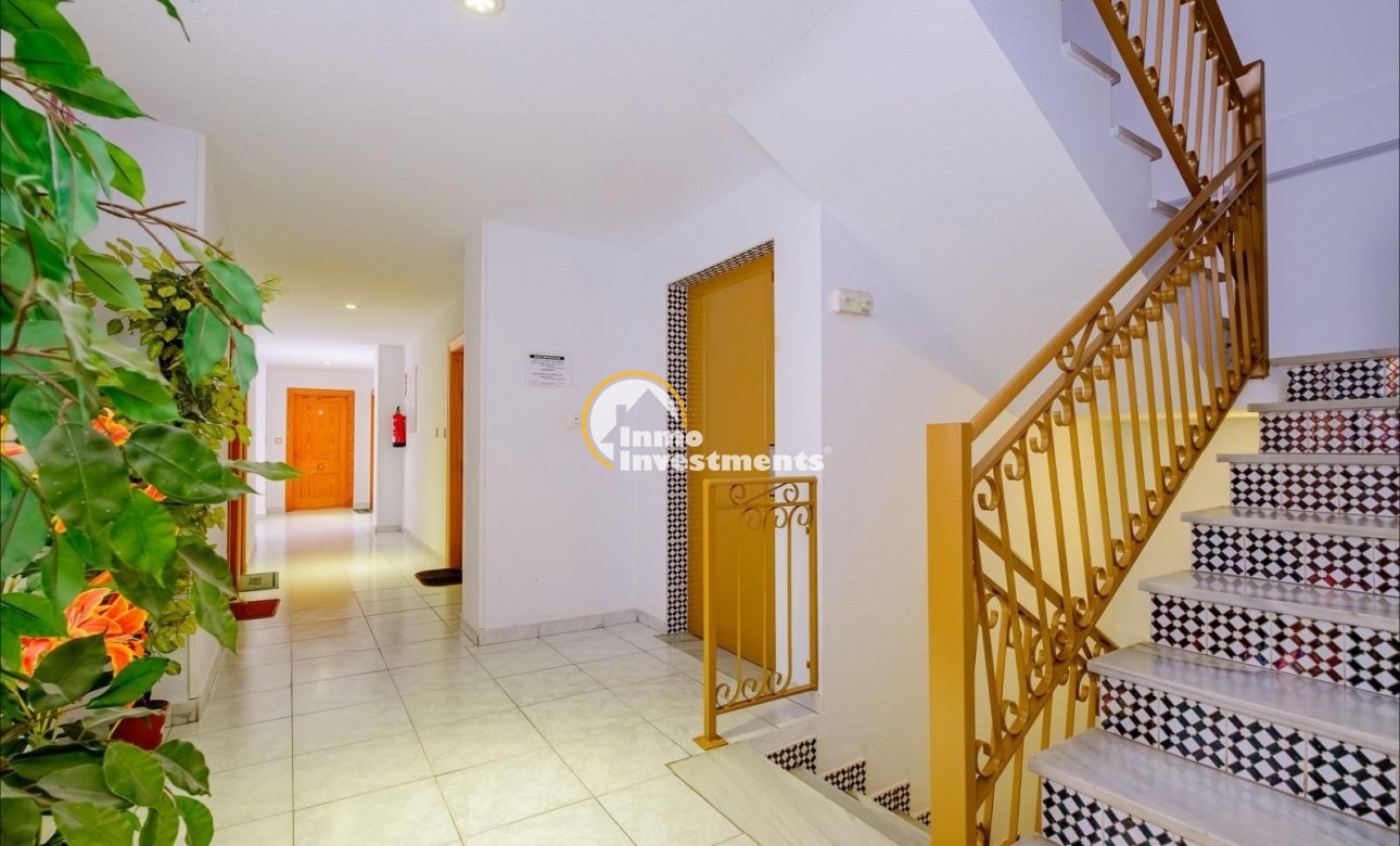Bestaande bouw - Appartement - Torrevieja - Estacion de autobuses